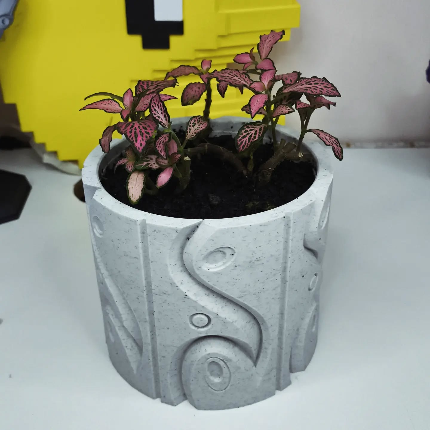 Vaso para ambiente interno