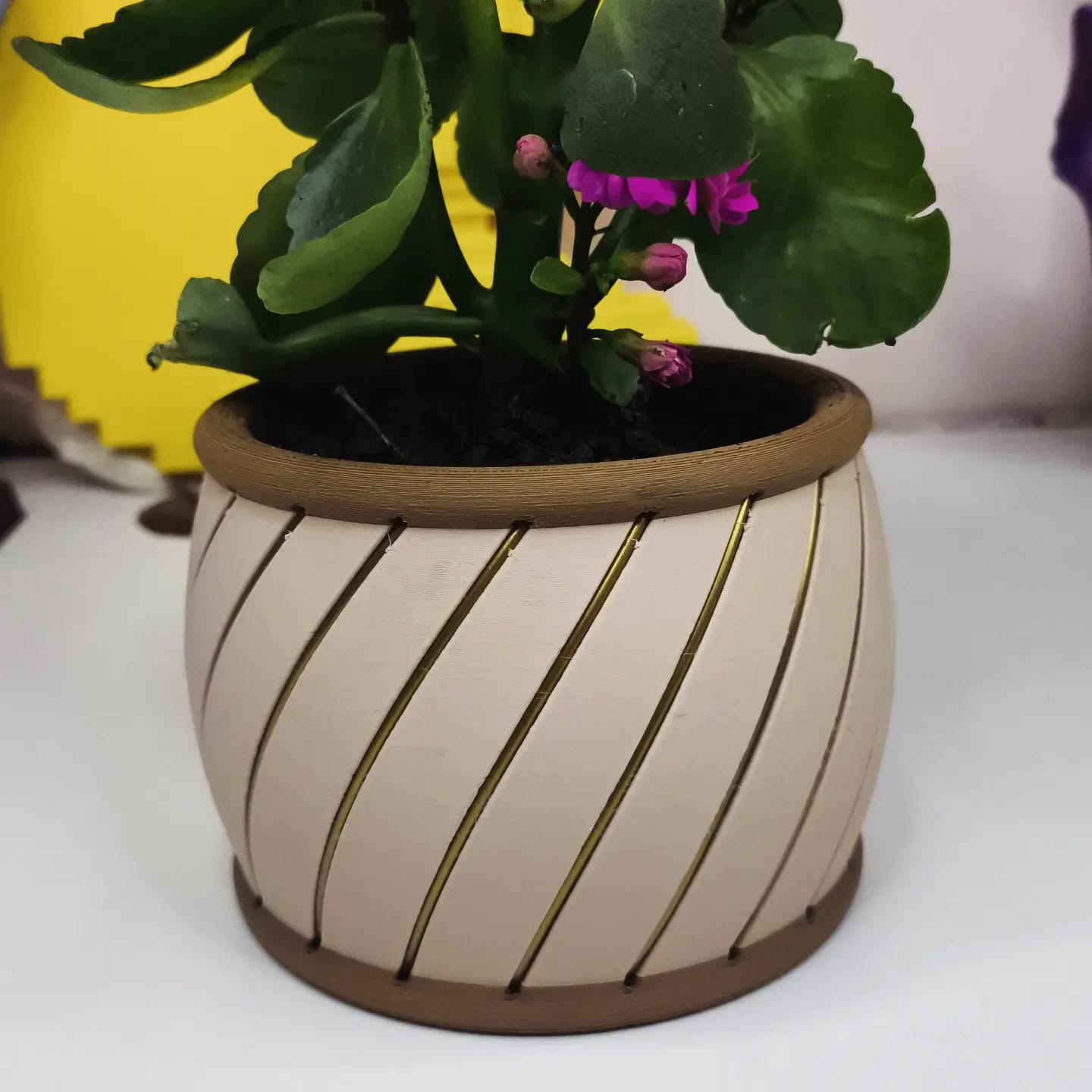 Vaso espiral