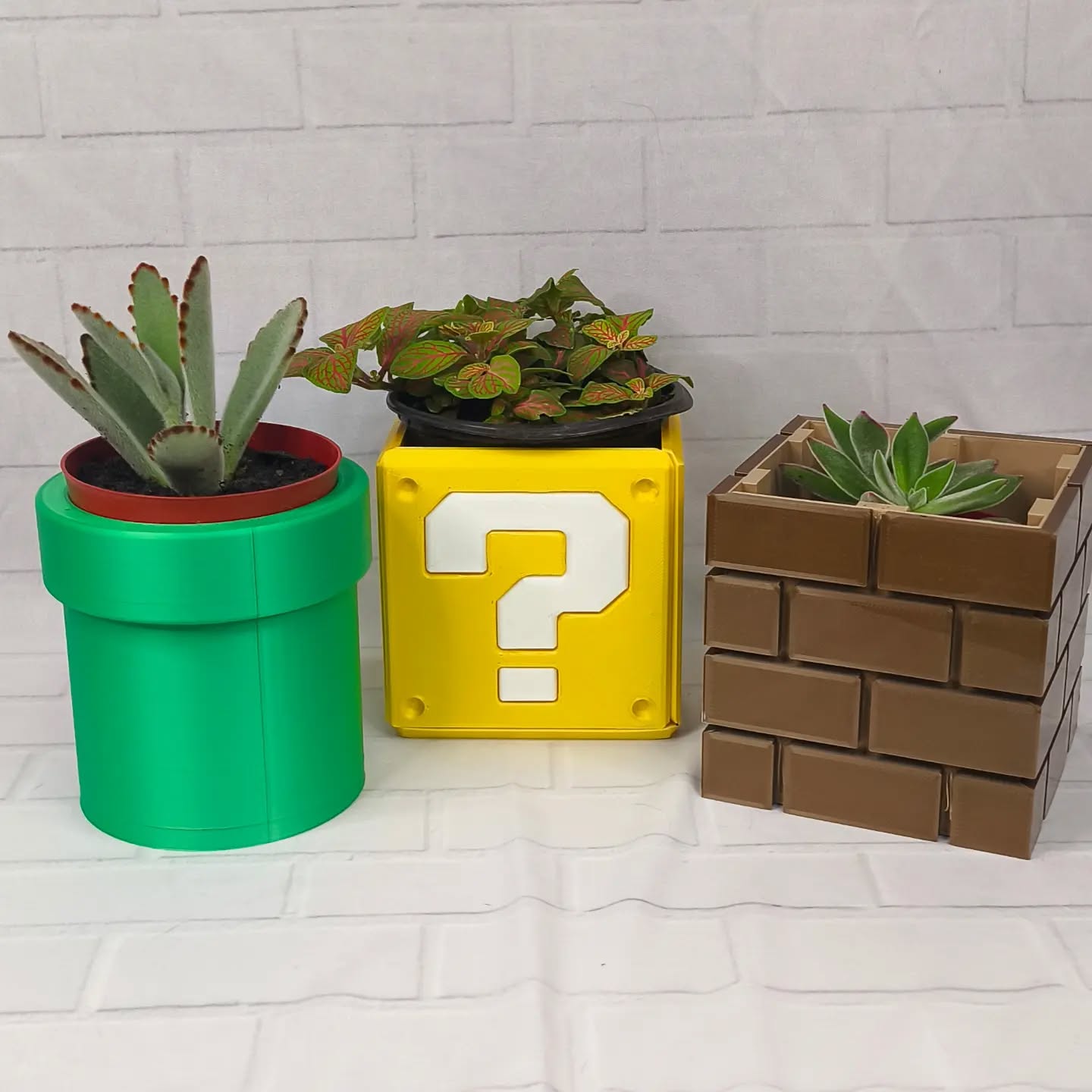 Vasos do Mario para Suculentas.